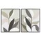 Stupell Industries Neutral Leaf Shapes 2pc Framed Giclee Set Design by June Erica Vess